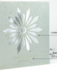 PALUXA_Hochzeitseinladung_Info_Crystal_Dream_Silber.jpg